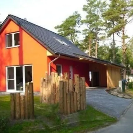 Mare Bodstedt Fuhlendorf (Mecklenburg-Vorpommern)